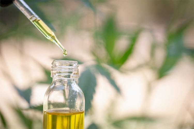 cbd öl krebs